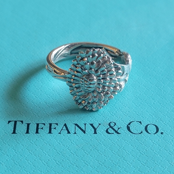 Tiffany & Co. Jewelry - 1885 Tiffany & Company Dandelion Spoon Ring in Sterling Silver Antique #50